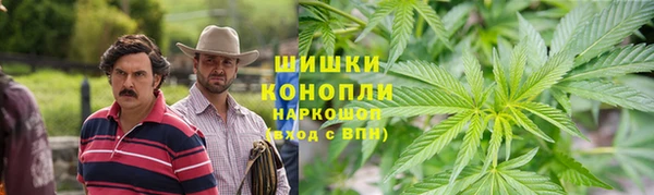 винт Вяземский